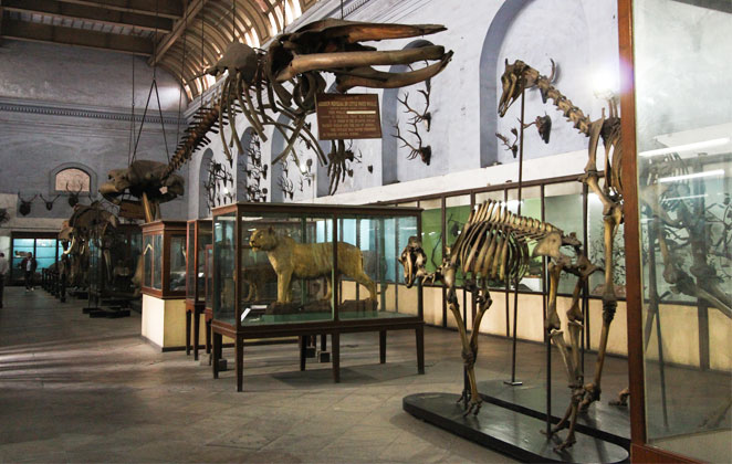 VISITS TO MUSEUMS